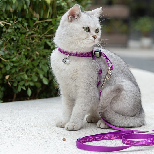 Cat Bell Chest Strap