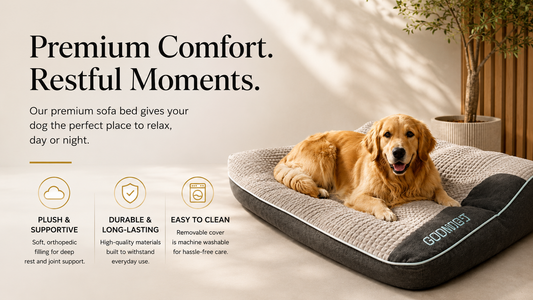 How to Choose the Perfect Bed for Your Dog