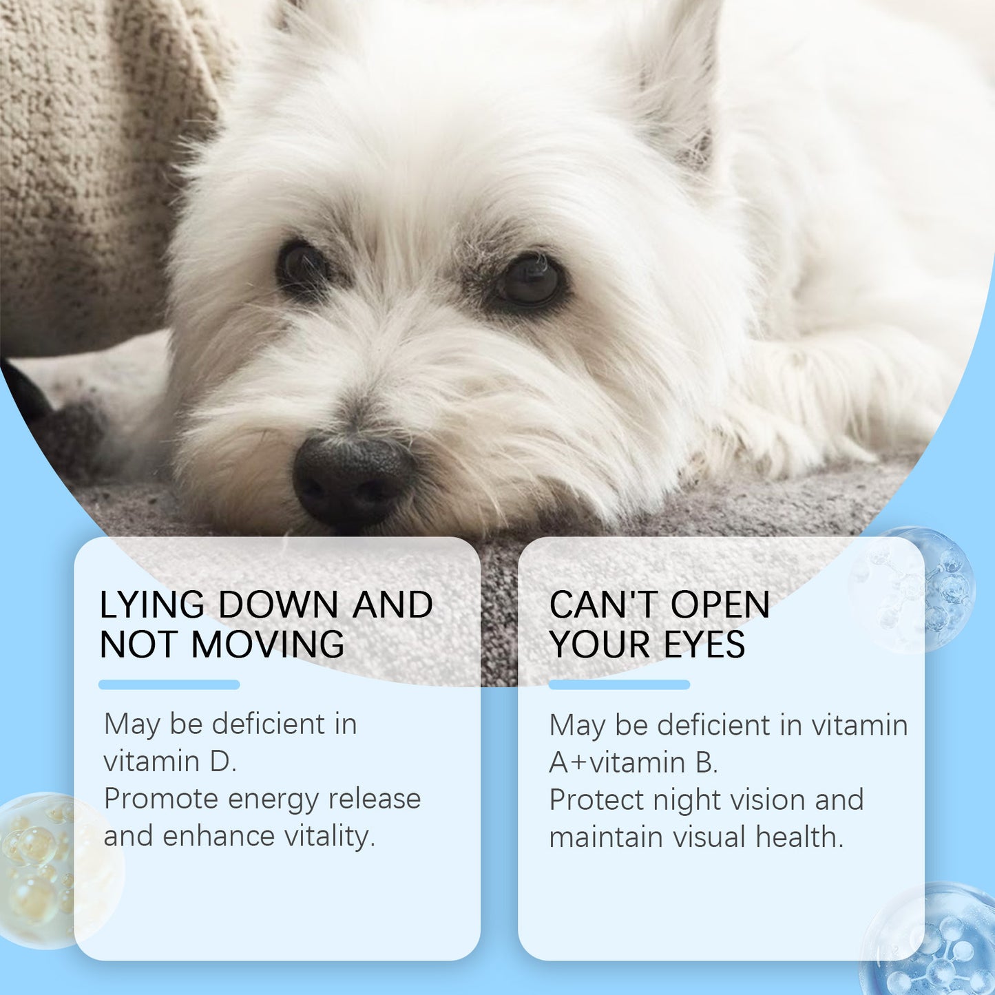 Dogs Multivitamin Tablet