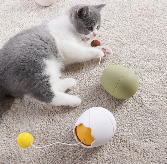 cat toy
