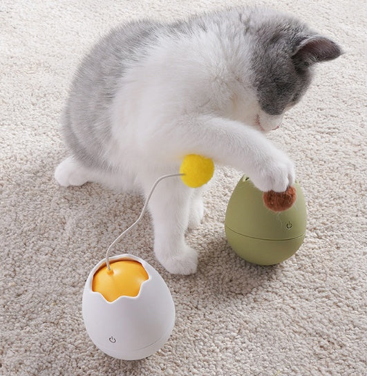 cat toy