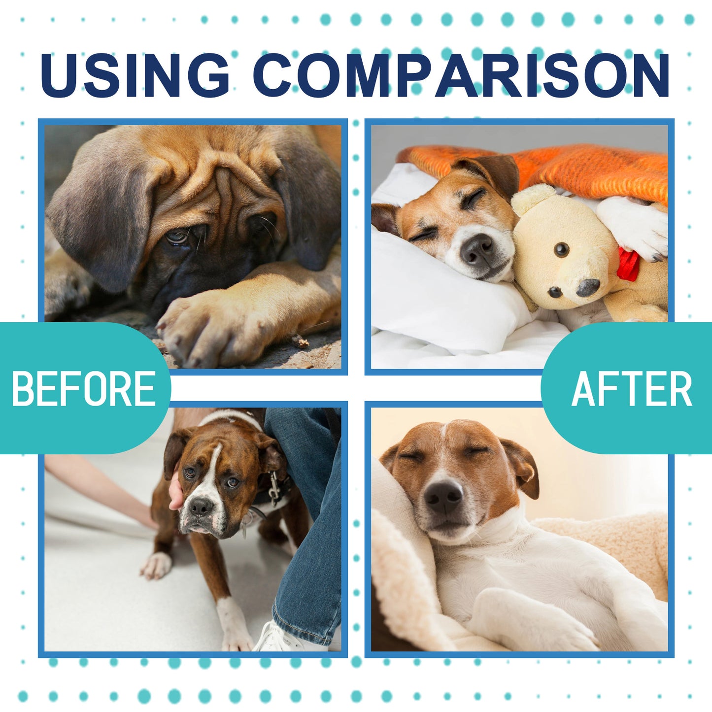 Emotional Care Solution Relieves Anxiety For Dogs