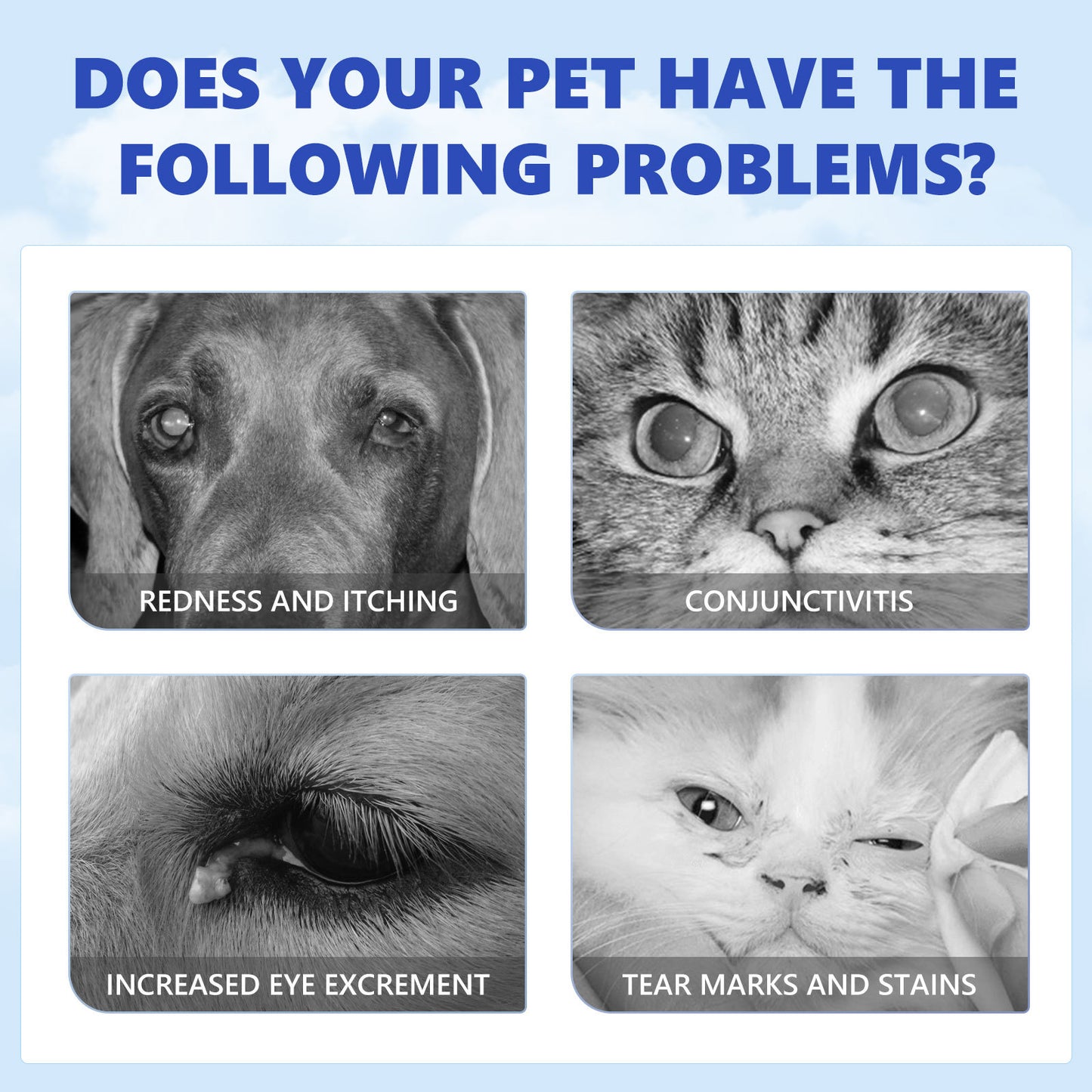 Dogs And Cats Tear Removal