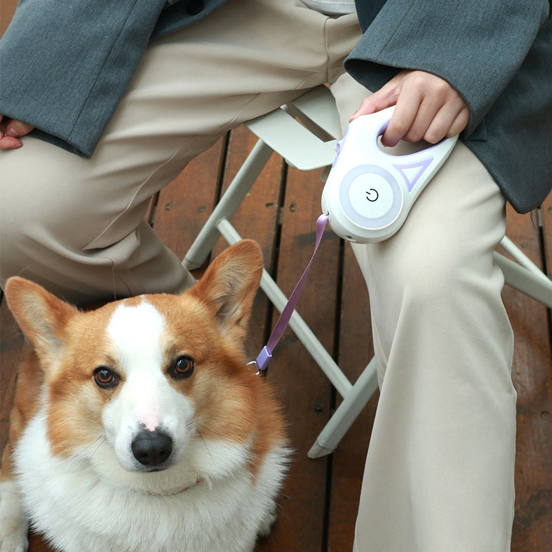Spotlight Dog Leash