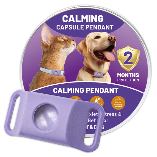 Calm Buckle Dogs And Cats