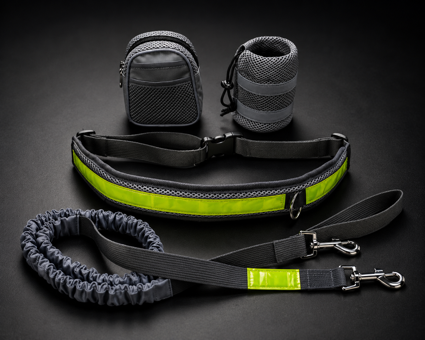 Hands Free Dog Leash