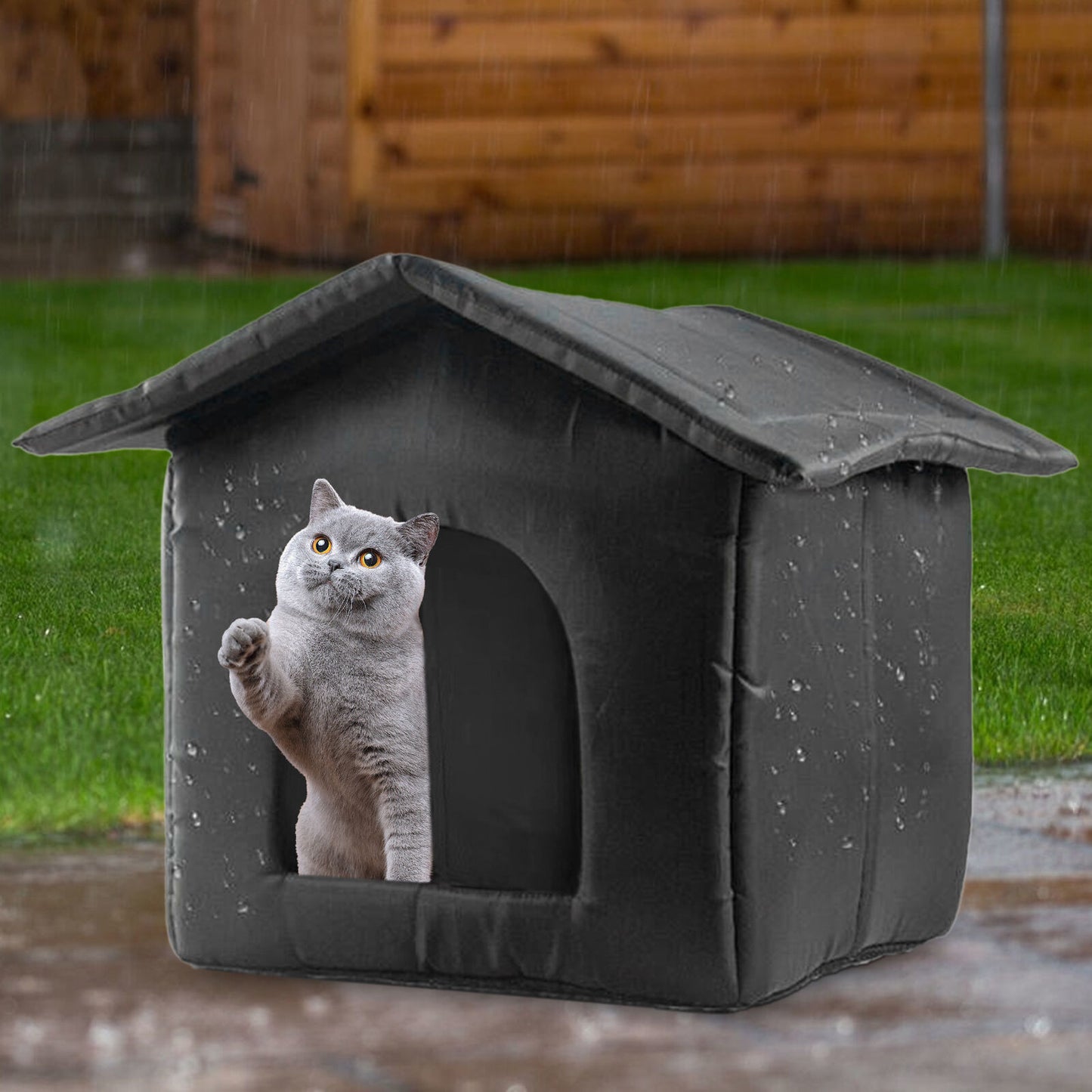 Cat Outdoor House