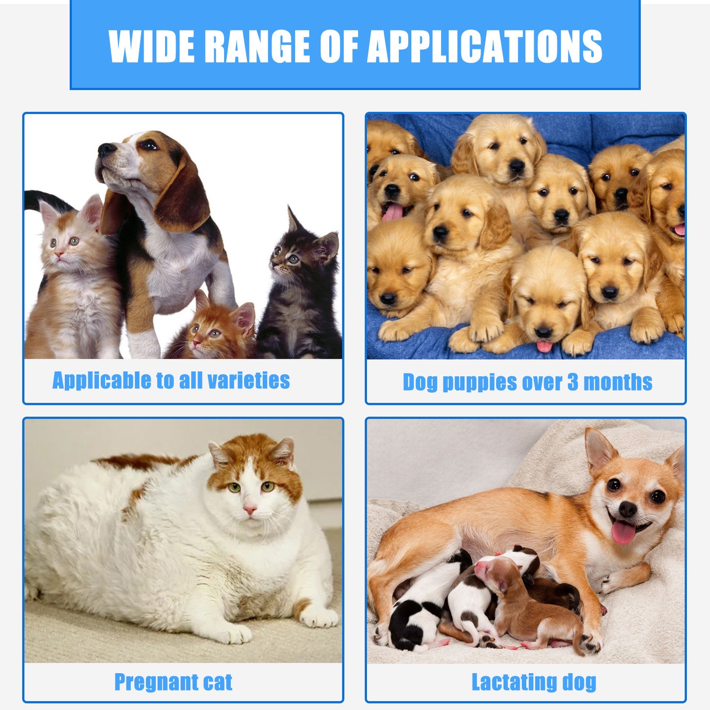 Wound Care Spray For Dogs And Cats
